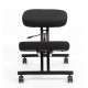 Ergo Line Metal Posture Kneeling Chair